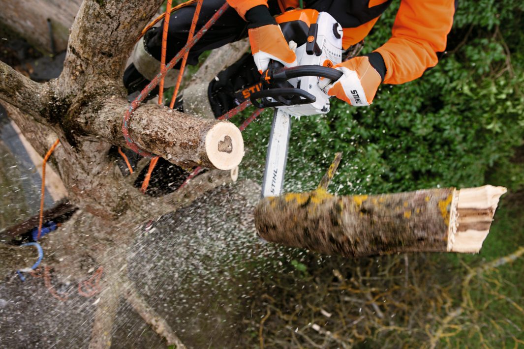 petrol chainsaw ms 201 tcm 2
